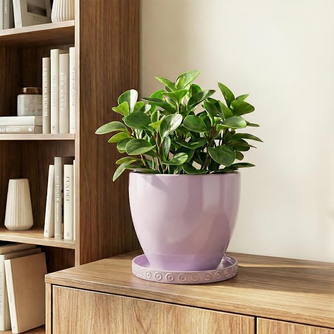 Eightpot 5.6 Inch Flower Pot Saucers, Plant Trays for Pots for Indoor Outdoors, Round Ceramic Plant Saucer, Modern Plants Plates to Catch Water, Decorative Plants Dishes to Catch Water, Purple