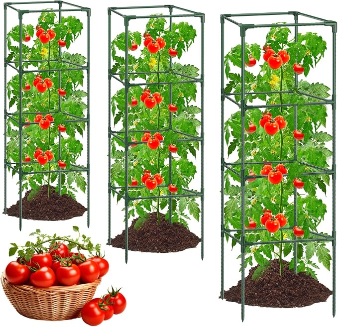 6Pack Tomato Cages for Garden,Square Tomato Plant Cage Support Heavy Duty Pole 57*15.4*15.4 Inches,Steel Plant Tower Stakes,Cherry Tomato Trellis Cucumber for Climbing Vegetables Flowers Fruits-Green