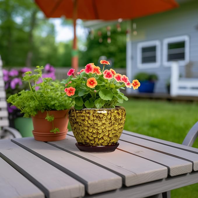 6 Inch Ceramic Plant Pot, Yellow Leopard | Drainage Hole and Tray, Indoor Outdoor, Decorative Round Planter, Small Flower Pot
