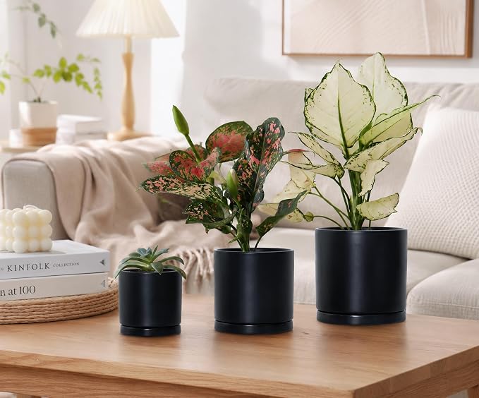 D'vine Dev Black Terracotta Pots for Plants, 4.2 Inch 5.3 Inch 6.5 Inch, Succulent Planter Pot with Drainage and Saucer, 40-T-A-2