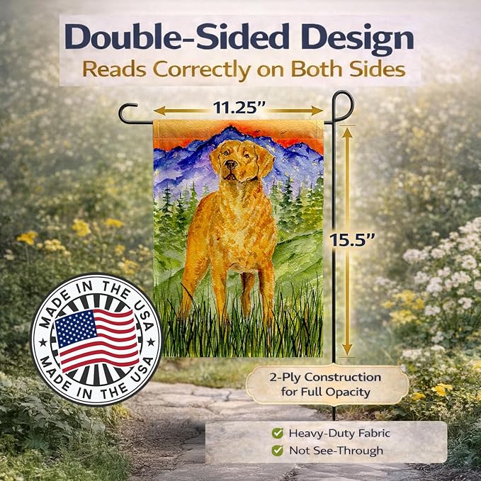 Caroline's Treasures SS8449GF Chesapeake Bay Retriever Garden Flag Mailbox Flag Decorative Yard Flag Banner Outside Patio Artwork Yard Flower Beds, Garden Size, Multicolor