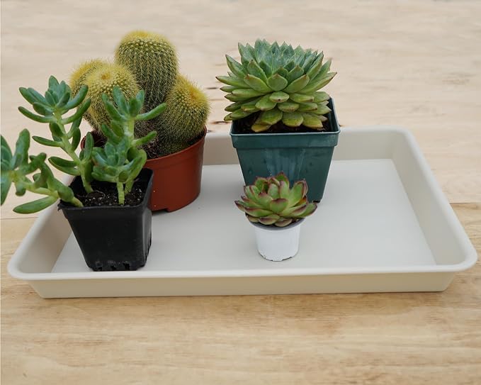 VUWEZ 2 Pack Rectangular Plant Saucer Tray, Heavy Duty Plastic, Beige, 17.5" x 10.6" x 1.5" (2 pack), Plant Drip Trays for Pots, Seed Starter Growing Trays, Indoor/Outdoor Use