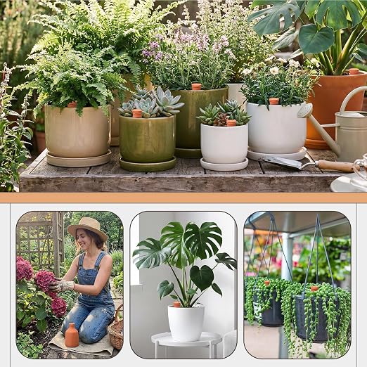 DoubleFill 1 Pcs 50 oz Ollas Terracotta Watering Pots Self Watering Planter Insert Terracotta Globes Clay for Outdoor Indoor Garden Plants, Easy to Refill