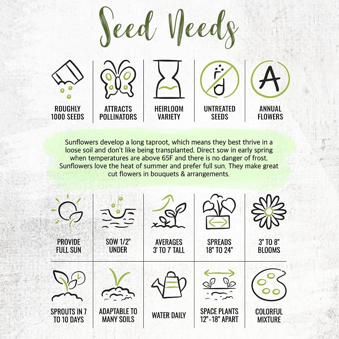 Seed Needs Sunflower Seeds to Plant Original Crazy Blend 1 Ounce Bulk Pack