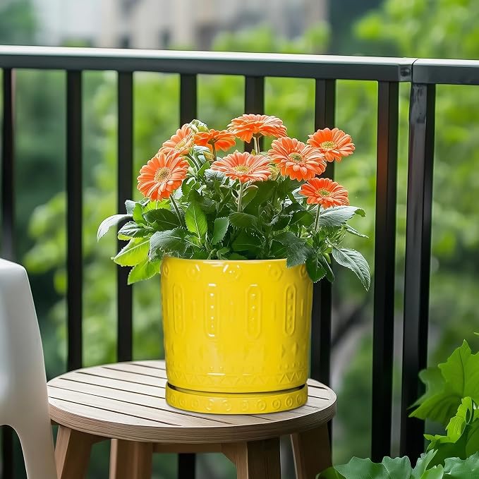 Eightpot Ceramic Plant Saucer, 7.5 Inch Plant Plates to Catch Water for Indoor Outdoors, Round Plants Trays for Pots, Modern Plants Dishes to Catch Water, Decorative Flower Pot Trays, Yellow