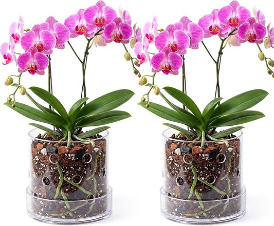 2 Pcs 5 Inch Clear Acrylic Orchid Planter Pot with 360° Round Holes & Tray, Thick Acrylic Vented Planter for Phalaenopsis, Root Airflow, Bottom Watering & Indoor Orchid Repotting