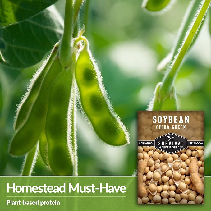 Chiba Green Edamame Seeds for Planting - Non-GMO Heirloom Soybean Variety for Vegetable Gardens - Tender Pods - Survival Garden Seeds (3 Packs)