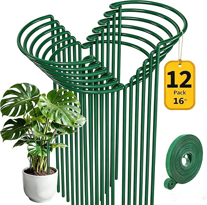 AMAGABELI GARDEN & HOME 12 Pack Peony Cage Plant Support Stakes 10" W x 16" H Heavy Duty Ring Metal Garden Support Structures Plant Cage with Ties for Indoor Flower Outdoor Tomato Hydrangea Monstera