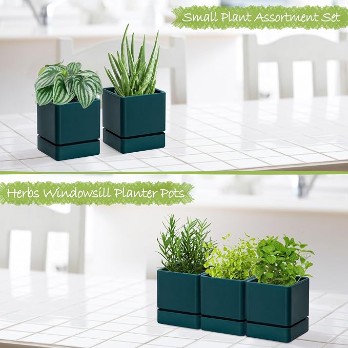 D'vine Dev 4 Inch Herb Planter Pot, Plastic Planter with Drainage Holes and Saucer, Modern Decorative Gardening Pot for Indoor Plants, Flowers, Herbs, Succulents, Green, Set of 3, 76-Y-C-3