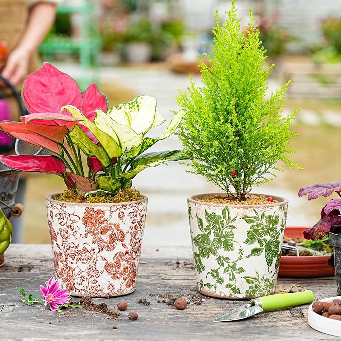 Sungmor Vintage Ceramic Planter Set of 3 - Decorative Indoor & Outdoor Flower Pots with Drainage Holes - Tuscan Décor Pots, 5.5" Ice Crackle Glaze Planters for Home, Kitchen, Patio, and Garden