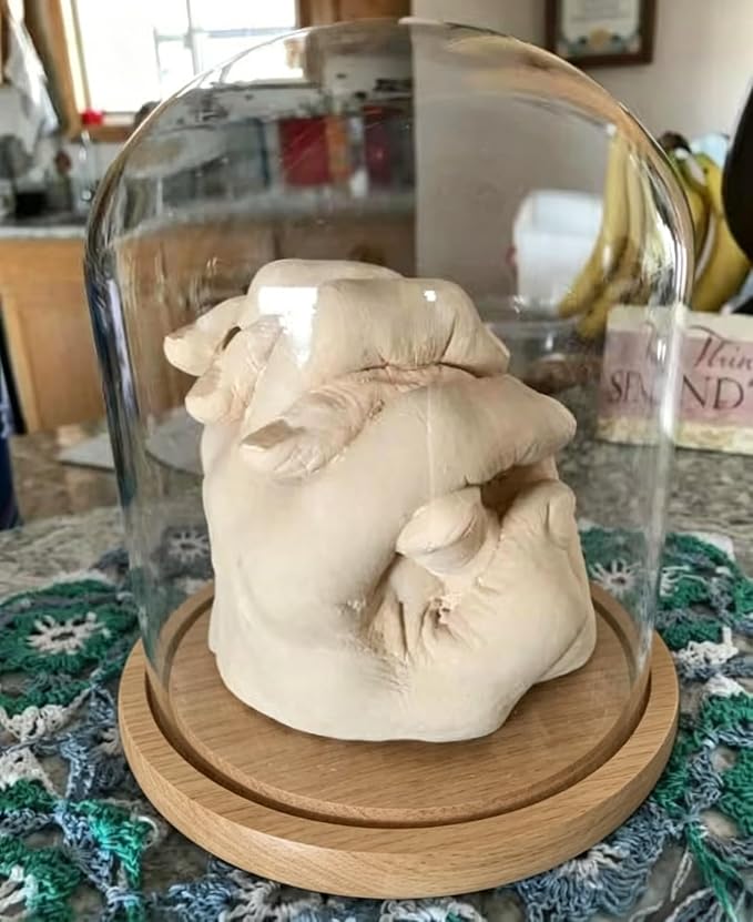 Glass Cloche Bell Jar Display Dome, Natural Wood Color, 6"x7" | Wooden Base, 1 Pack