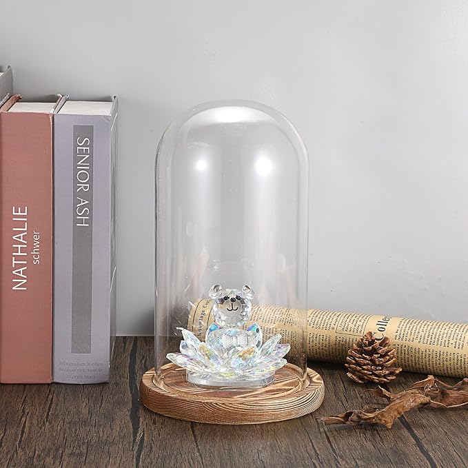 JUXYES Pack of 2 Glass Display Dome Cloche with Solid Wood Base, Clear Dome Bell Terrarium Jar Glass Cloche Bell Jar Display for Plants Collectible Figure