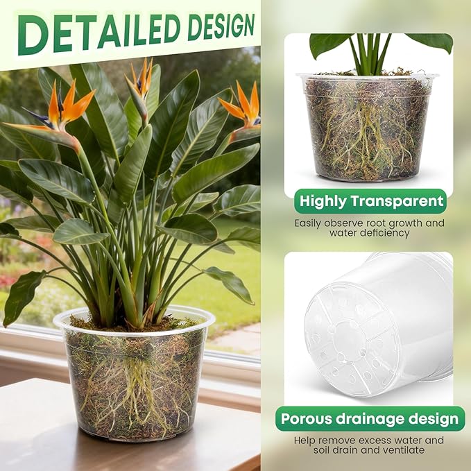 10 Pack 8 Inch Large Clear Nursery Pots with Drainage Hole, Plastic Plant Pots for Seedlings Flowers Vegetables, Indoor Outdoor Gardening, Used as Liners Inside Decorative Pots (8 inch)