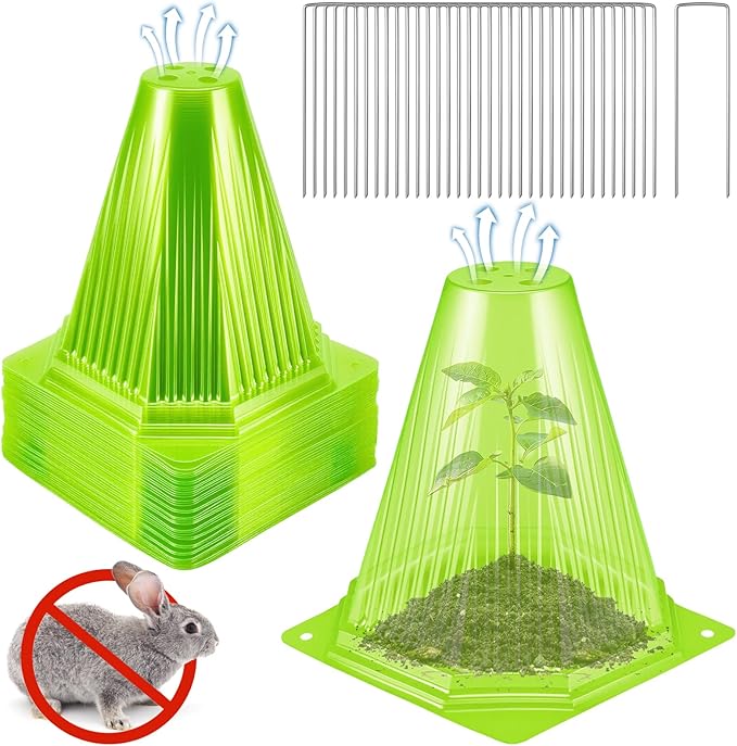 40PCS Garden Cloches for Plants with 80PCS Ground Stakes,Reusable Plant Bell Cover,Plastic Small Plant Seedling Protector Plants Cloches from Animals,Chickens, Birds,Snails & Frost,7.9" H X 6.7" D