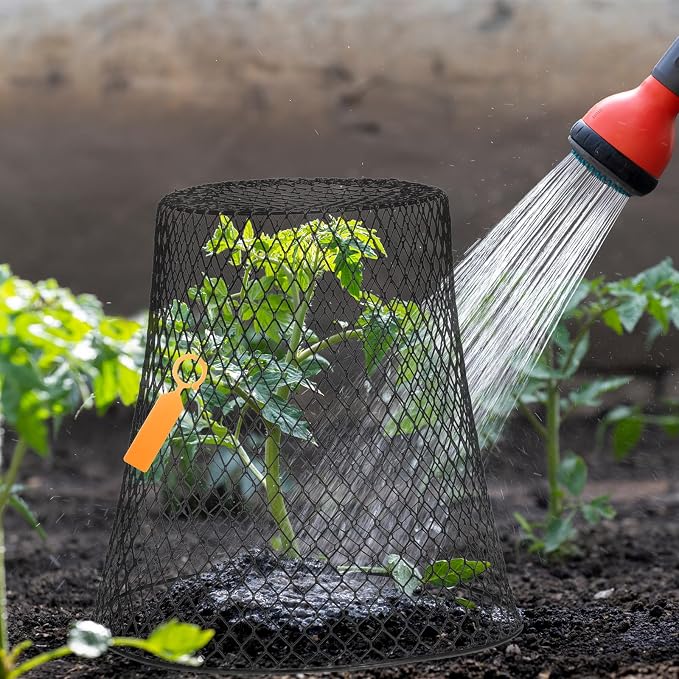 Geosar 10 Pcs 9 inch Chicken Wire Cloche Plant Protector Cover Metal Garden Cloche Dome for Plants Chicken Wire Protection Basket with Garden Stakes for Avoiding Rabbit Bird Small Animals Eat (Black)