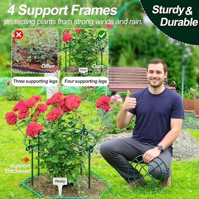 8 Pack Peony Cages and Supports with Plant Support Stakes for Outdoor Indoor Plants 12" D 16" High Tall Heavy Duty Metal Peony Support Cage Ring for Peony Rose Flower Tomato Hydrangea