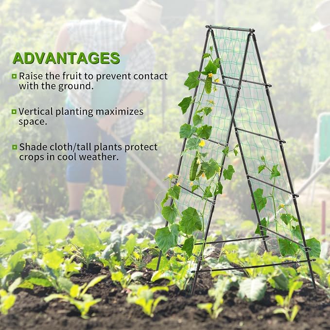 Cucumber Trellis for Raised Garden Bed, 71" H x 32" W A Frame Garden Trellis for Climbing Plants Outdoor, Metal Climbing Vine Plant Support Fruits Vegetables Tomato Peas Beans Trellis, Black