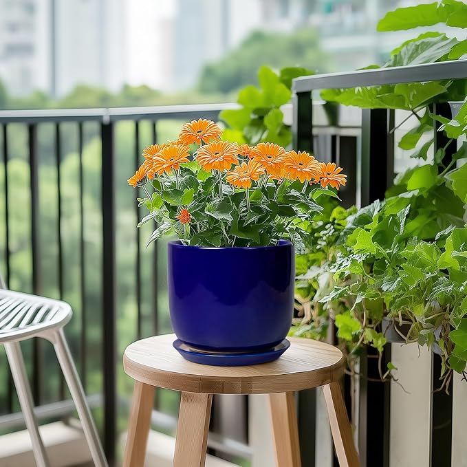 Ceramic Flower Pot 7 Inch - Cylinder 7 Inch Round Planter for Cactus Orchid Plants with Drainage Hole and Saucer, Home Office Room Desk Decor, Blue