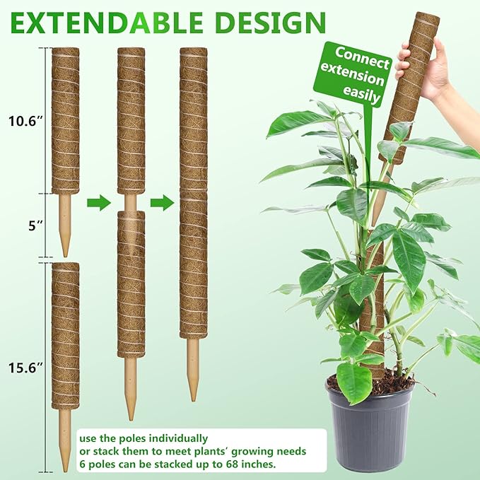 Moss Pole 68 Inch, 6 Pack Plant Moss Pole for Plants Monstera, 15.6 Inch Coir Totem Sticks for Climbing Support Extension Indoor Sticks with 65 Feet Garden Twist Tie