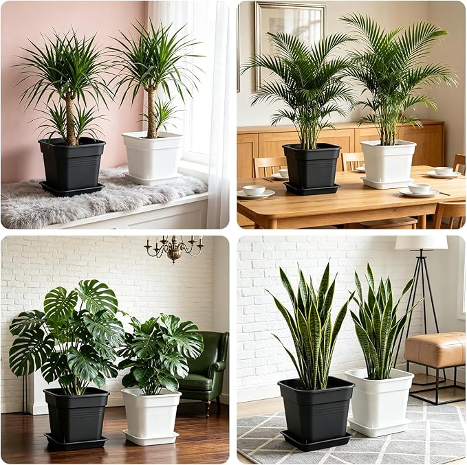 BTPLASTIK 10 Inch Square Planters with Saucers 5 Pack, Heavy Duty Black Plant Pots, Air Pruning & Super Ventilation, Anti-Crack Garden Pots for Indoor Outdoor Orchids Vegetables Trees