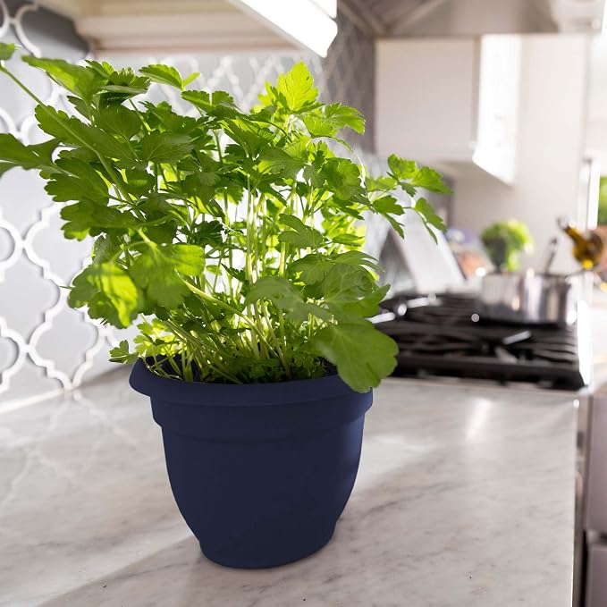 Bloem Ariana 8" Navy Round Self Watering Planter Pot - Rolled Rim Plastic Resin Indoor or Outdoor Gardening Planter with Drainage Holes, Made in USA