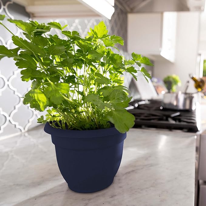 Bloem Ariana 6" Navy Round Self Watering Planter Pot - Rolled Rim Plastic Resin Indoor or Outdoor Gardening Planter with Drainage Holes, Made in USA