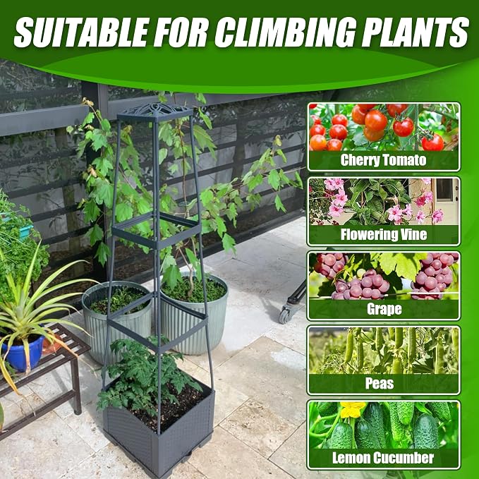 2 Packs Raised Garden Bed Tomato Planter Box with Trellis,56.8" Self-Watering Tomato Cage with Trapezoidal Trellis for Climbing Plants Flowers Vegetables Vine in Patio Garden Indoor Outdoor