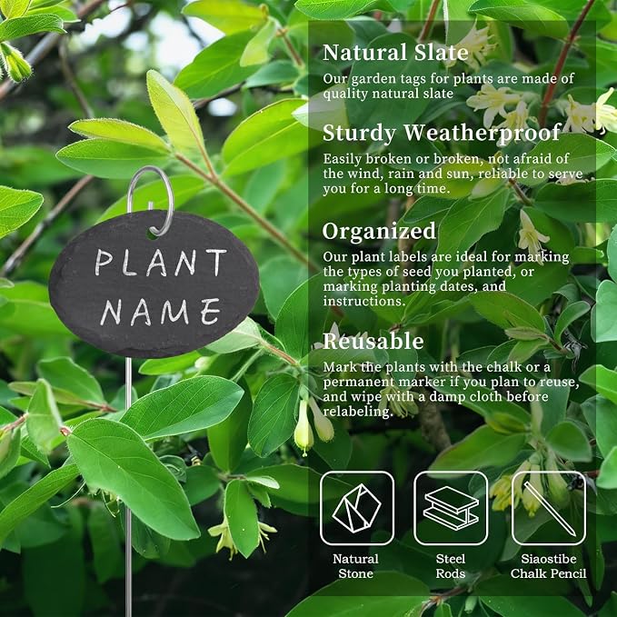 15 Pcs Slate Plant Labels with Chalk Pencils Outdoor Garden Marker Label Signs with Stakes for Plants, Vegetables, Herb, Flowers (Oval)