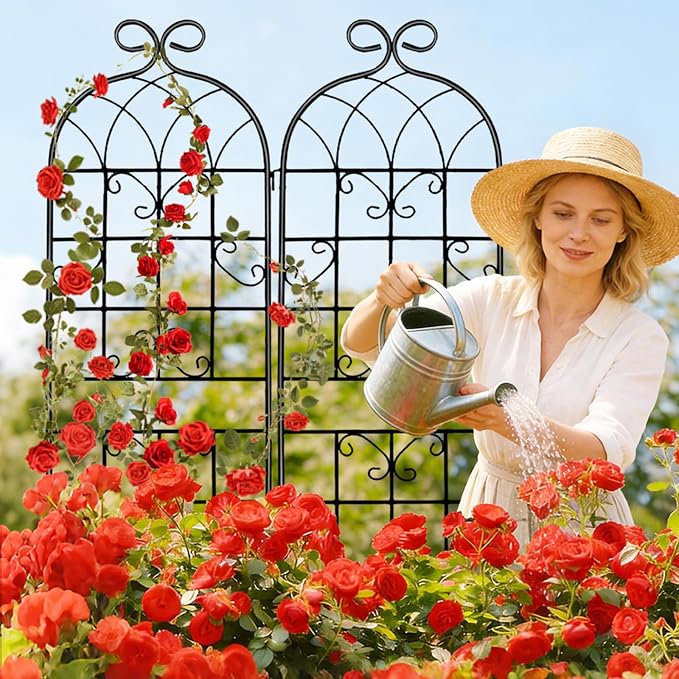 2 Pack 71" x 20" Metal Garden Trellis for Climbing Plants Outdoor, Heavy Duty Plant,Perfect for Climbing Roses, Clematis, Honeysuckle, Cucumbers, Pole Beans, Grape Vines and Flowering & Vines