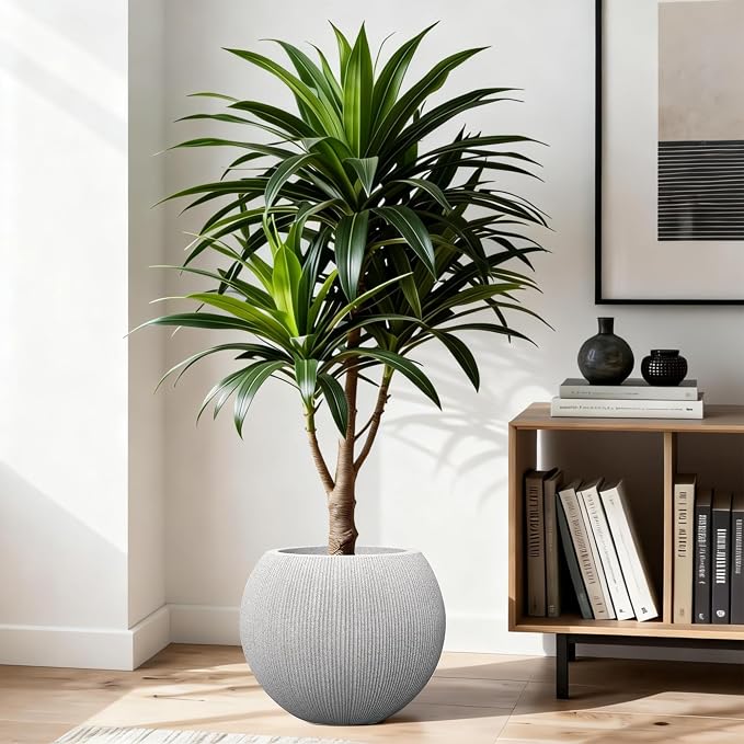 Contemporary Faux Stone Large Planter - Heavy-Duty Textured Resin Pot with Drainage, Elegant Minimalist Vessel for Landscaping, Balcony & Living Room (14.5 Inch)