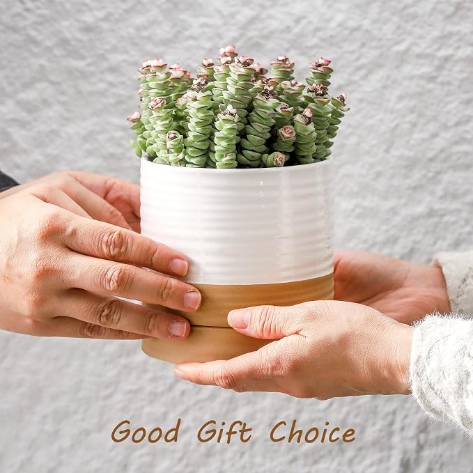 HASENSE Small Plant Pots, 4.6 Inch Ceramic Flower Pots with Two-Tone Glaze Design, Indoor Outdoor Planter with Drainage Hole and Saucer, Cute Tabletop Decor, 4 Pack, White-Brown