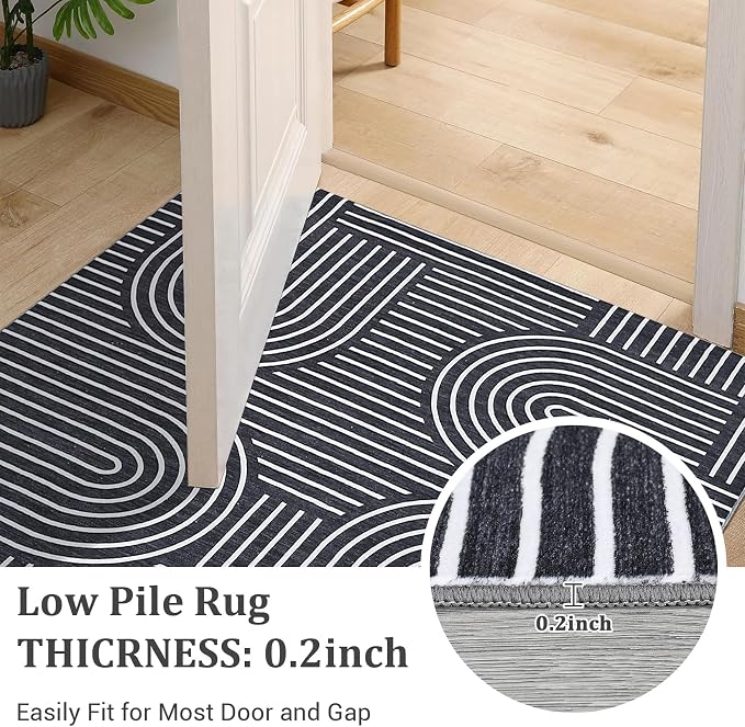 ROYHOME Modern Washable Rug 3x5 Area Rugs for Living Room Non Slip, Black | Abstract Rug for Bedroom, Rainbow Throw Rugs with Rubber Back, Low Pile Stain Resistant Geometric Carpet for Playroom Dorm