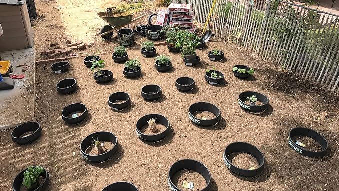 6-Pack 16-inch Planting Rings – Deep Watering Basin & Garden Edging.