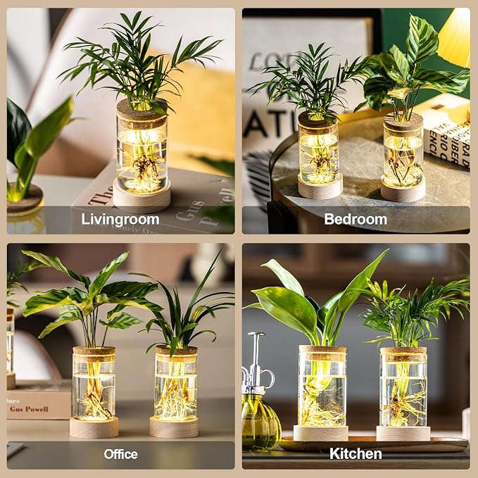 Glass Plant Propagation Stations, Propagation Vases for Plants with Ambient Light Base, Hydroponic Vase for Home & Office Windowsill Tabletop Decoration Desktop Vases for Living Room, Bedroom (4)
