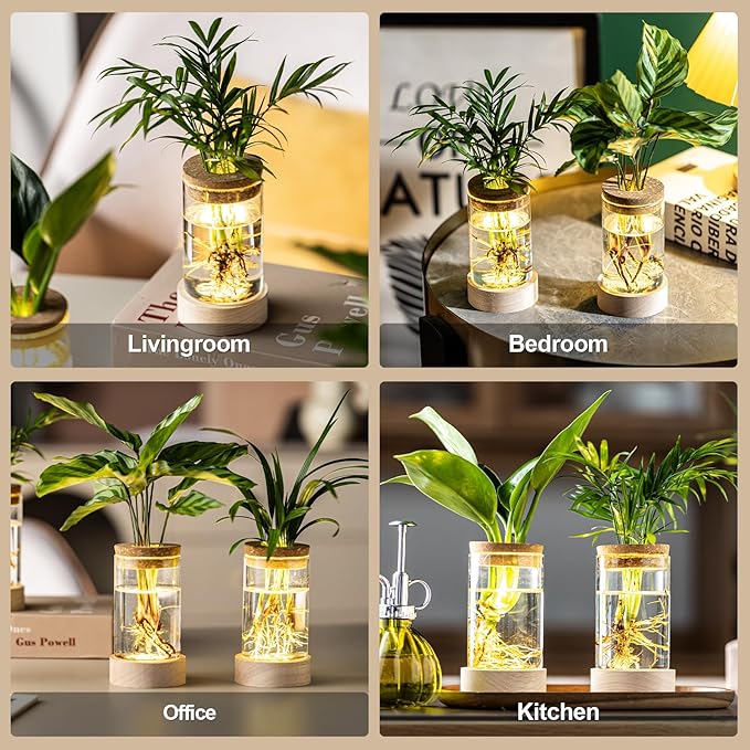 Glass Plant Propagation Stations, Propagation Vases for Plants with Ambient Light Base, Hydroponic Vase for Home & Office Windowsill Tabletop Decoration Desktop Vases for Living Room, Bedroom (6)