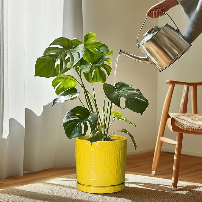 Eightpot Plant Saucers for Indoors, 9.3 Inch Plant Pot Saucers, Plant Drip Trays for Indoor Outdoors, Round Plants Plates to Catch Water, Boho Decorative Plants Dishes to Catch Water, Yellow