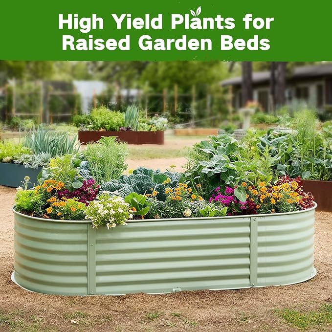 Lush&Dew Raised Garden Bed Heirloom Seed Bank, 32 Type 30000+ Non-GMO Seeds | USA-Sourced Seeds for Planting Vegetables Herbs Fruits, Gardening Gifts for Women Men, Survival Seed Vault Kit, Food Supplies