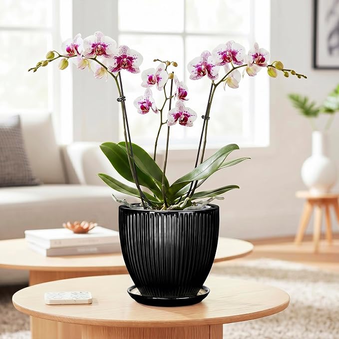 6 Inch Ceramic Planter, Indoor Plant Pots for Small Plants, Decorative Flower Pots with Drainage Hole and Saucer, Round Pot for Plants, Office Bathroom Decor, Gifts for Plant Lovers, Black