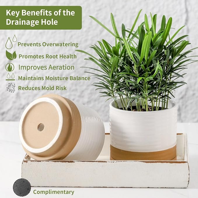 HASENSE Small Plant Pots, 4.6 Inch Ceramic Flower Pots with Two-Tone Glaze Design, Indoor Outdoor Planter with Drainage Hole and Saucer, Cute Tabletop Decor, 4 Pack, White-Brown