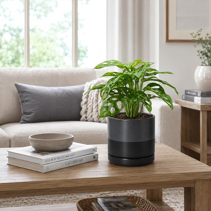 D'vine Dev 6 Inch Ceramic Planter Pot with Drainage Hole and Saucer, Indoor Cylinder Round Planter Pot, Slate, 94-O-C-5