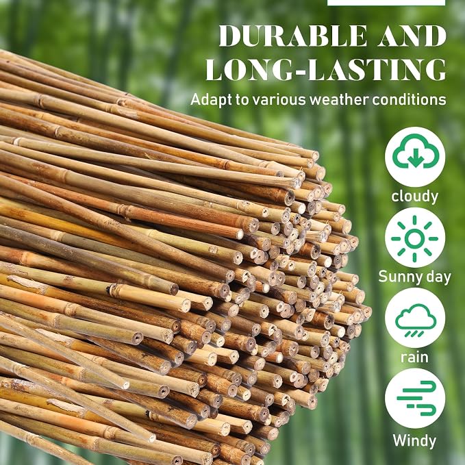 Suclain 100 Pcs Bamboo Plant Stakes Natural Garden Support Sticks for Climbing Plants Sturdy Bamboo Garden Stakes for Tomato, Beans, Flowers and Potted Plants, Vegetables, Indoor & Outdoor (2 ft)