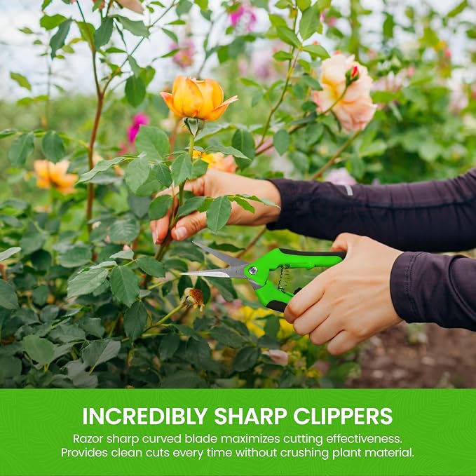 Garden Guru Razor Sharp Snip – Professional Garden Pruning Shears Trimmers Scissors – Super Sharp Micro-Tip Precision Stainless Steel Blades - Easy on Arthritic Hands - Soft Ergonomic Handles (2 Pack)