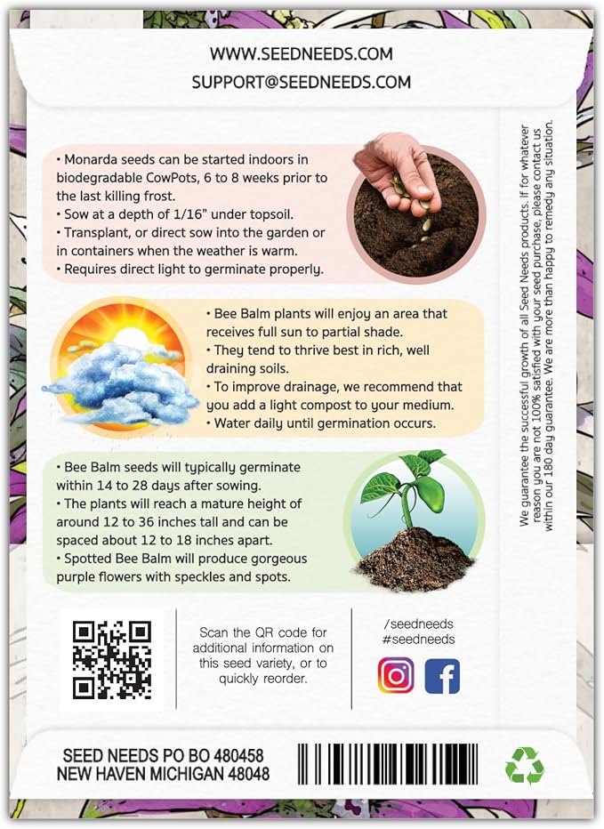 Seed Needs Spotted Bee Balm Seeds to Plant Horsemint Flowers/Herbs 1 Pack