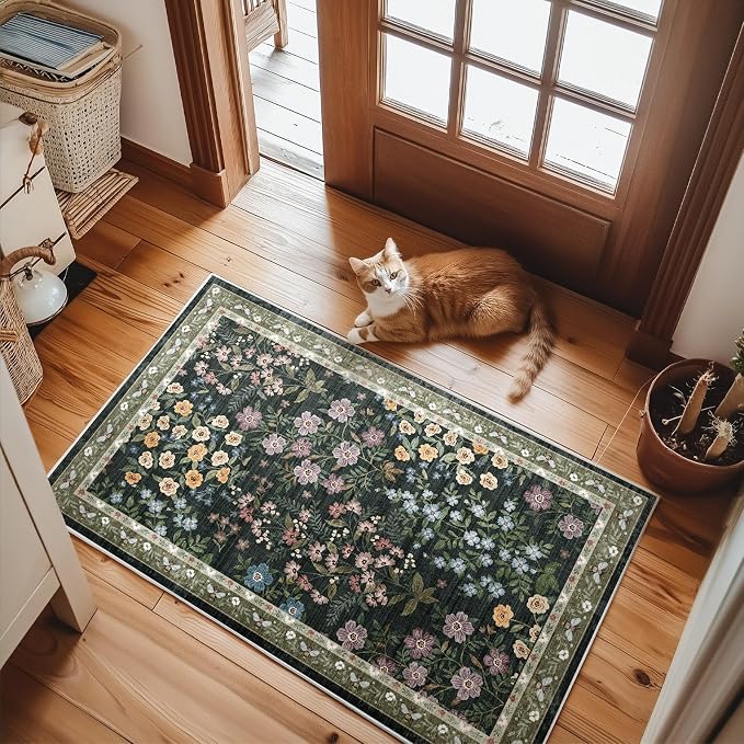 Machine Washable Throw Rugs for Entryway: Door Mat Indoor Entrance 2x3 Rug Small Area Rug Non-Slip Low Pile Kitchen Rug for Front Door Indoor Entrance Kitchen Bedroom Kids Room