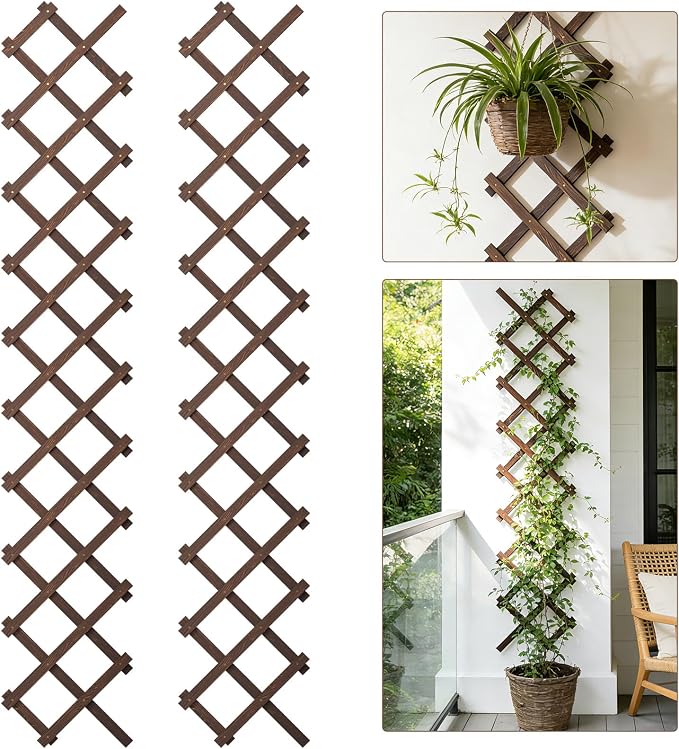 Expandable Wooden Lattice Panels Outdoor Garden Fence Trellis for Climbing Plants Roses Vines Cucumbers Weather Resistant Decorative Wood Privacy Fence (2, 13''x 68'')