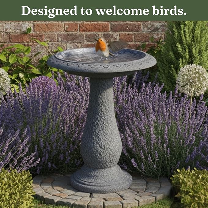 Large Bird Bath for Outside 23 Inch Weathered White - Stone-Resin Composite Pedestal Birdbath Bowl - Standing Outdoor Garden Decor for Front Porch Patio Yard Backyard Lawn Ornament