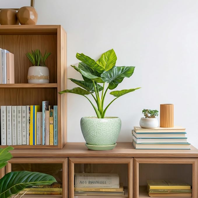 Ceramic Flower Pot, 6 Inch, Crackle Light Green | Drainage Hole and Saucer, Modern, Round Indoor Planter, For Indoor Succulent Plants