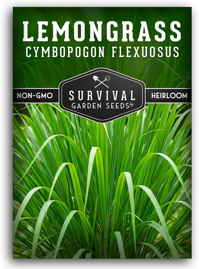 Lemongrass Seeds for Planting - Heirloom Asian Lemon Grass Seed - Fragrant Citrus Herb for Tea - Aromatic Garden Plant - Heirloom Non-GMO - Survival Garden Seeds (1 Pack)