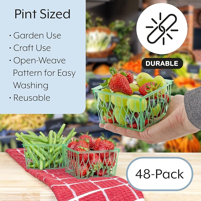 Cornucopia Brands Pint Size Plastic Berry Baskets (48-Pack), 4-Inch Berry Boxes w/Open-Weave Pattern, Ideal for Summer Picking & Crafts! (48 Boxes)