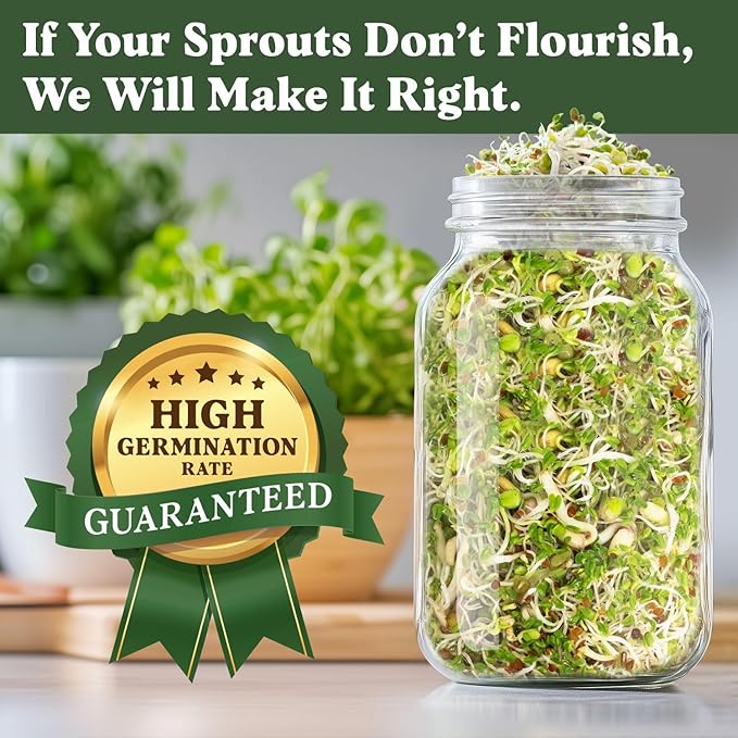 Seedboy Organic Non-GMO Sprouting Seeds, Fresh Salad Blend - USA Grown Microgreens Mix with Alfalfa, Broccoli, Radish, Mung Bean & Lentil - 8 oz Bag Makes 8 Quarts / 32 Servings (Salad Blend)
